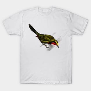 Vintage lanius gutturalis bird-animalia clothing T-Shirt